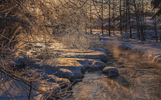 Snowy forest stream urban sky - tree and snow covered ground free wallpaper