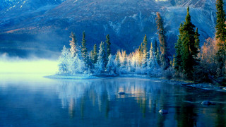 Lake mountains trees mist sky - tree and mountains free wallpaper