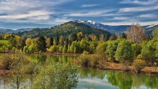 River trees mountains cloudy sky 4 - tree and mountains under a cloudy sky free wallpaper