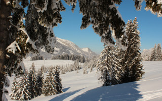 Snowy landscape trees mountains blue 5 - tree and mountains free wallpaper