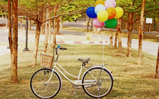 Bicycle balloons park basket outdoors - balloon free wallpaper