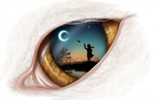 Girl flying kite cat eye - realistic eye free wallpaper