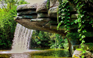 Waterfall pond greenery rocks ledge - a pond free wallpaper