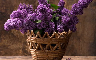 Wicker basket purple flowers east - still free wallpaper