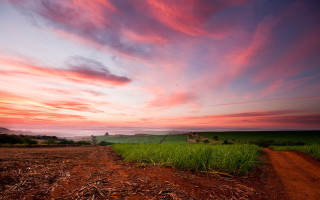 Dirt road field sunset clouds - a dirt road free wallpaper