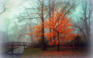 Bridge pond park autumn fog - autumn free wallpaper