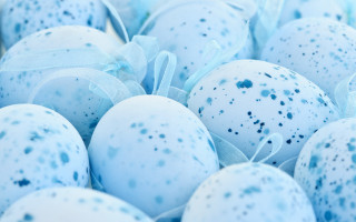 Blue egg ribbon pile space - top of them free wallpaper