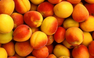 Peach pile top juice orange - orange free wallpaper for desktop