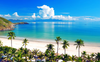 Beach palm trees blue sky 24 - a white sand beach free wallpaper