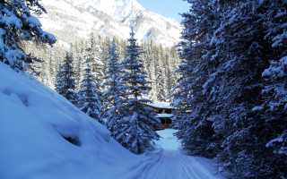 Snowy cabin road trees mountain - mountain in the background free wallpaper