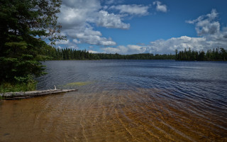 Lake tree line clouds shore 2 - the shore free wallpaper
