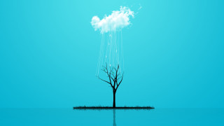 Lone tree water cloud blue - a lone tree free wallpaper