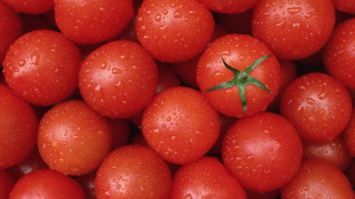 Tomatoes water droplets closeup macro - 4k uhd image free wallpaper