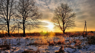 Snowy field trees sunset clouds - a snowy field free wallpaper