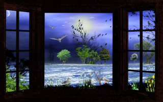 Moonlit lake view birds night - night time free wallpaper for desktop