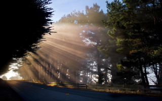Autumn forest crepuscular rays sunset - a fence and trees free wallpaper