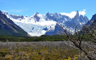 Mountain range snow capped field - dead free wallpaper