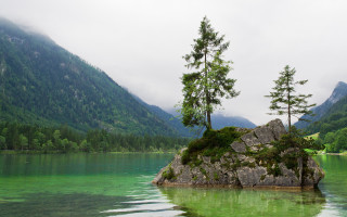 Lone tree on rock in - a lone tree free wallpaper