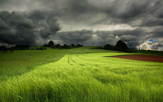Green grass cloudy sky horizon - stormy weather free wallpaper