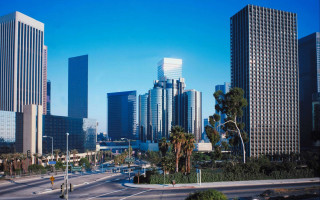 Cityscape palm trees skyscrapers bridge - a city street free wallpaper