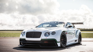White bentley green stripe track - the front of its free wallpaper