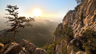 Mountain top sunset tree lake - a mountain top free wallpaper