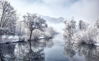 River fog mountain trees snow - a river free wallpaper