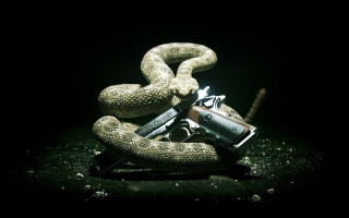 Gun snake planet night star - a snake free wallpaper for desktop