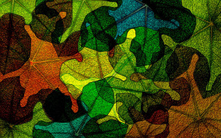 Colorful leaves green background black - top of them free wallpaper