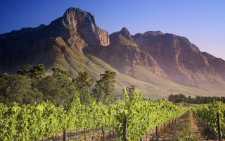 Vineyard mountains blue sky tiltshift - a blue sky in the foreground free wallpaper