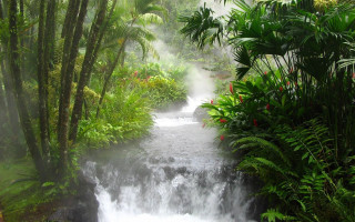 Rainy bamboo forest water matte - steam free wallpaper