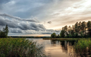 Lake forest sunset clouds horizon - lake free wallpaper