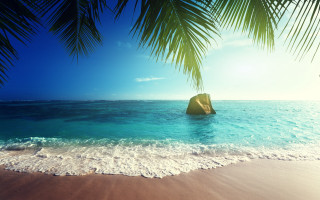 Beach rock palm tree sky - blue sky free wallpaper