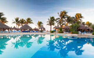 Thatched roof pool palm trees - chair and umbrellas free wallpaper