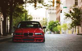 Red car street trees city - tall building and trees free wallpaper