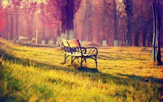 Park bench autumn sunset orange - a park bench free wallpaper