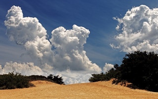 Dirt road trees clouds blue - a dirt road free wallpaper