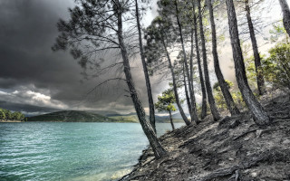 Lake shore trees mountain cloudy - a bunch of trees free wallpaper