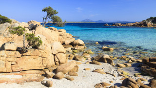 Rocky beach clear water tree - clear free wallpaper