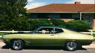 Green car house dog forest - a green car free wallpaper
