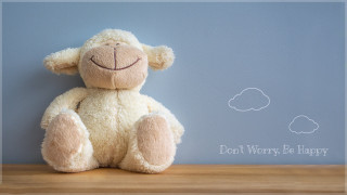 Stuffed animal table blue wall - animal free wallpaper