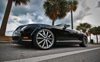 Black car palm trees cloudy - palm tree free wallpaper