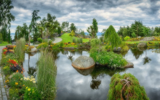 Magical pond flower trees path - a grassy area free wallpaper