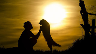 Romantic silhouette sunset holding hands - hand free wallpaper