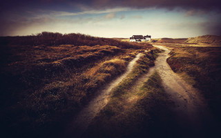 Dirt road horses grassy field - a grassy field free wallpaper