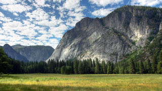 Mountain meadow trees cloudy sky - a few cloud free wallpaper
