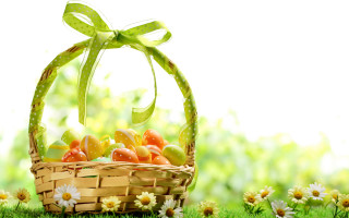 Basket fruit grass daisies bow - a bow free wallpaper