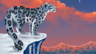 Snow leopard cliff moon mountains - a snow leopard free wallpaper