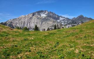 Mountain field trees snowsky cloud 2 - a grassy field below free wallpaper