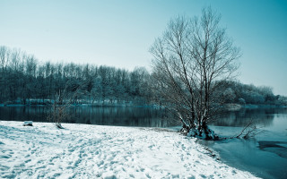 Snowy tree lake winter mountain - tonalism free wallpaper